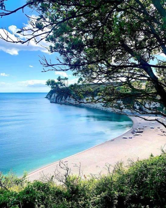 Park Gate, Colyton, Farm,Near Beaches-'Annie' Ngoại thất bức ảnh