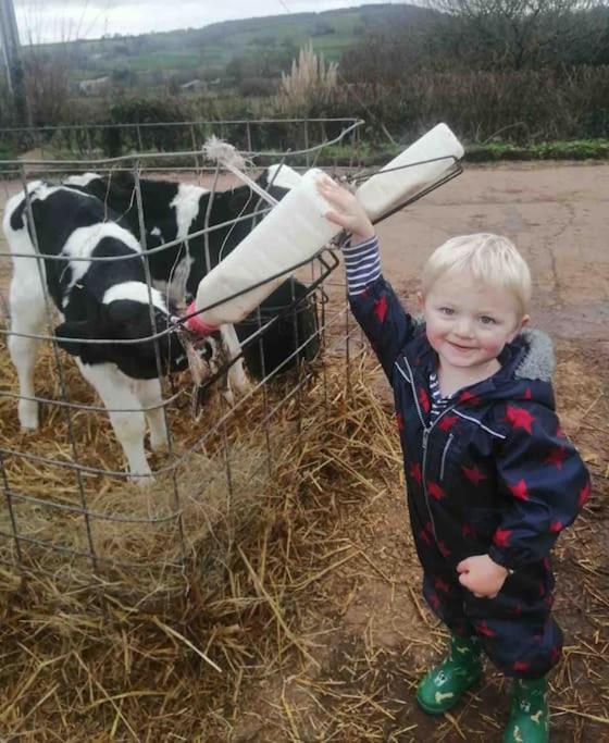 Park Gate, Colyton, Farm,Near Beaches-'Annie' Ngoại thất bức ảnh